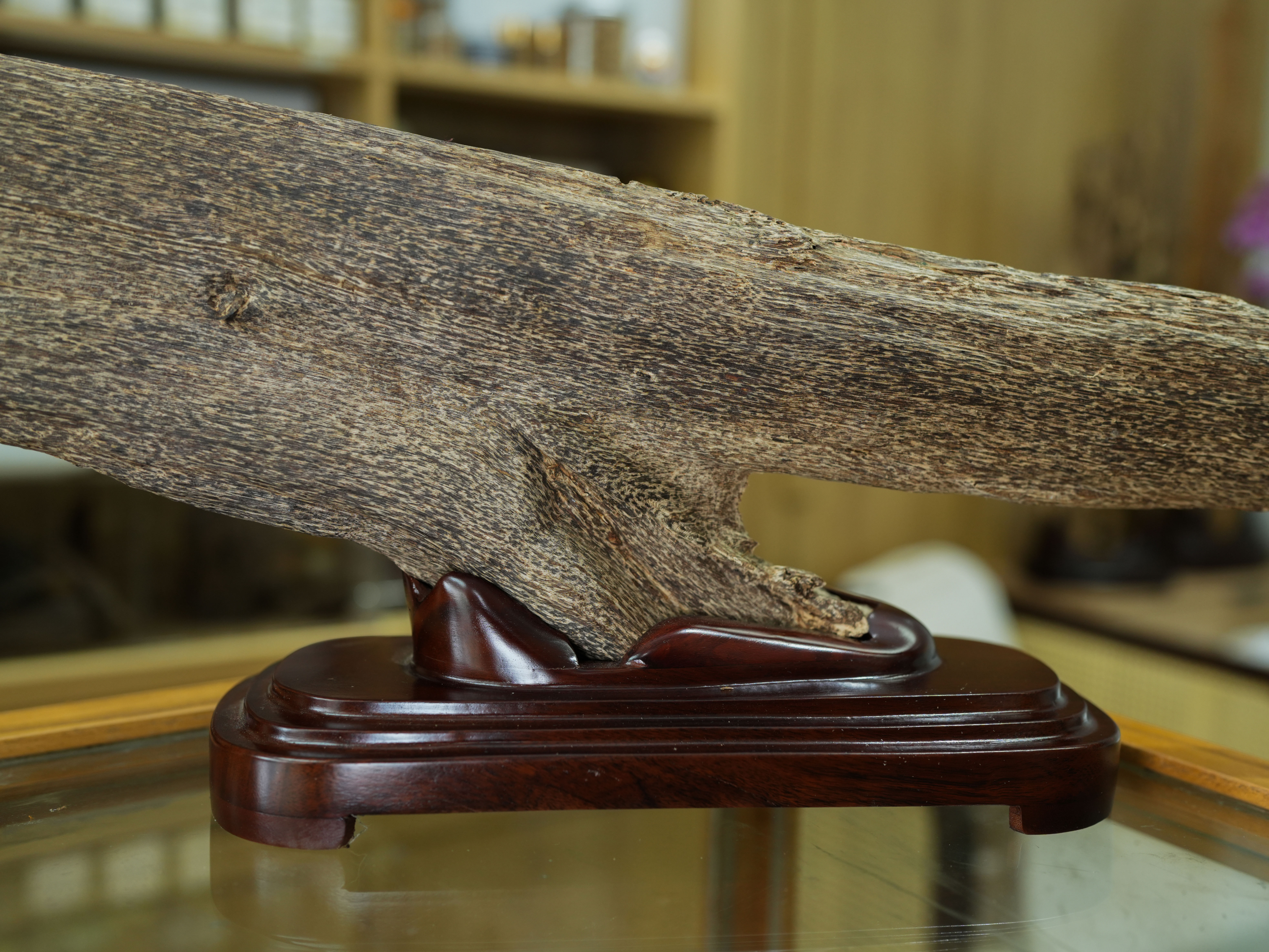 Natural Vietnamese Agarwood Sculpture – Whale Form | Vietnamese Oud Display